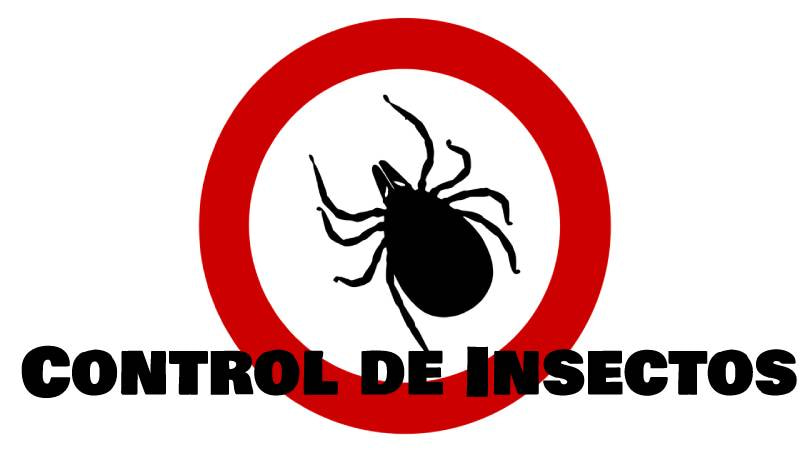 fumigación y control de insectos nocivos