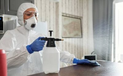 Control de plagas en Bogotá y Cundinamarca todos los insectos