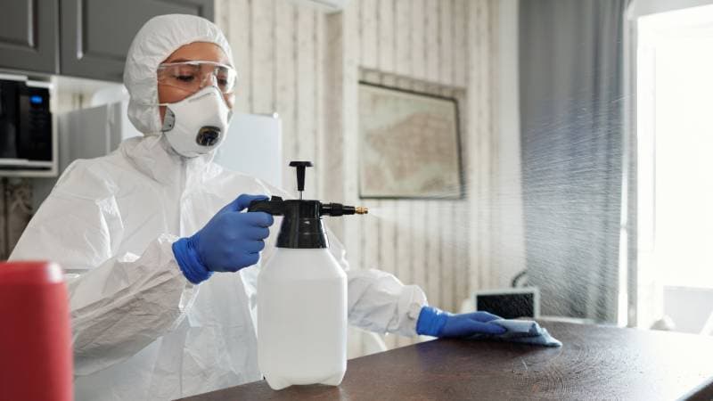 Control de plagas en Bogotá y Cundinamarca todos los insectos