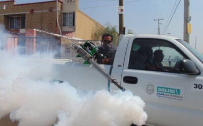 Empresa de fumigación en Bogota – Para eliminar insectos