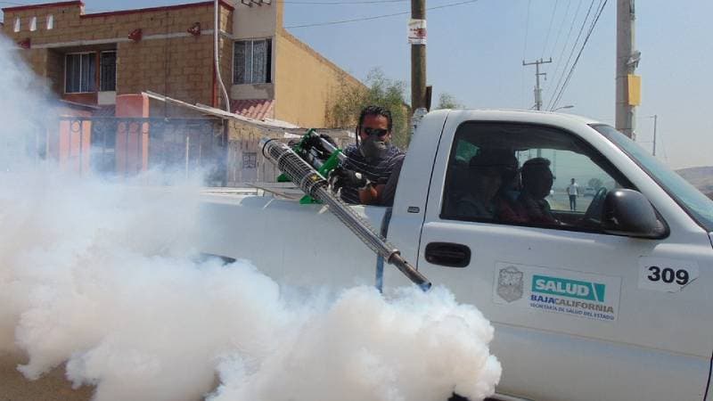 Empresa de fumigación en Bogota – Para eliminar insectos
