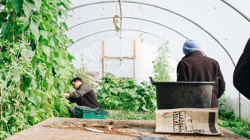 Empresas de jardinería y poda