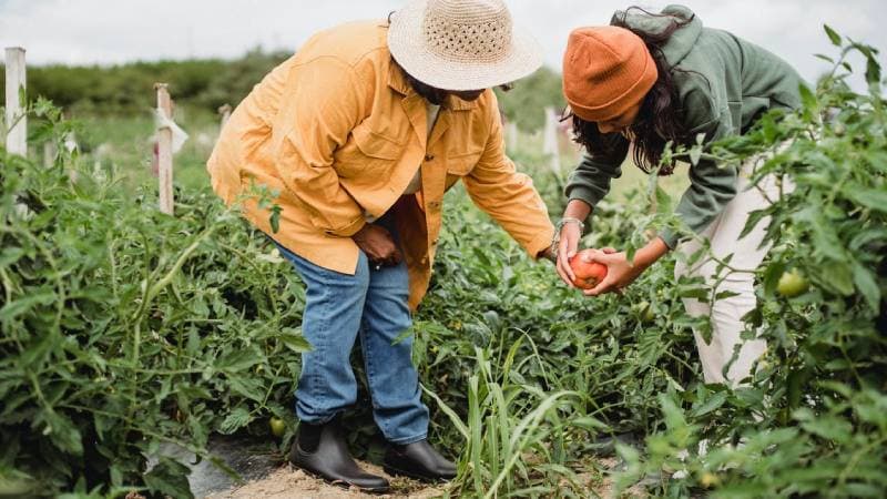 Jardinería en Bogotá – Poda, mantenimiento y diseño