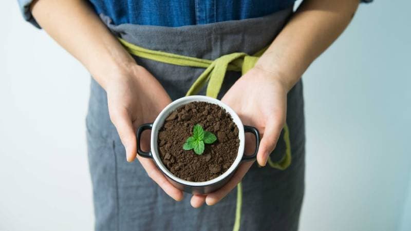 Servicios Ambientales ante la autoridad ambiental Colombia